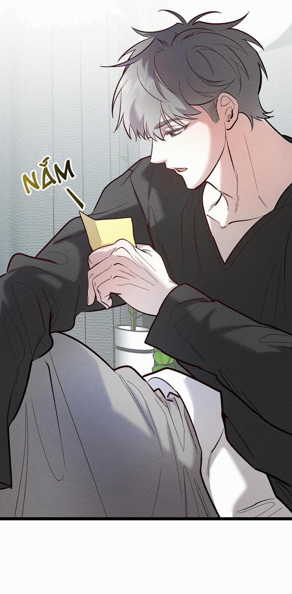 Thể Loại Lãng Mạn 12 trang 5