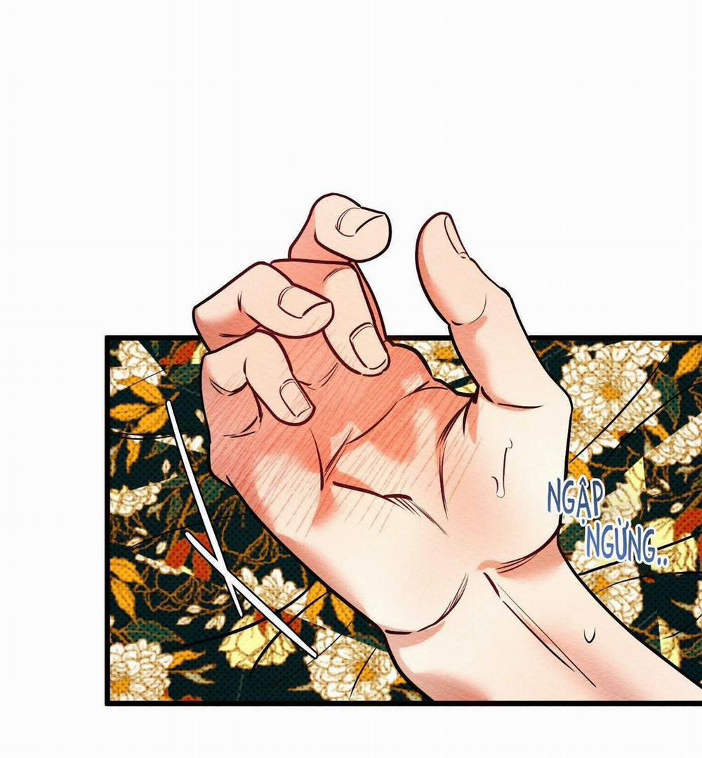 Thể Loại Lãng Mạn 27 trang 11