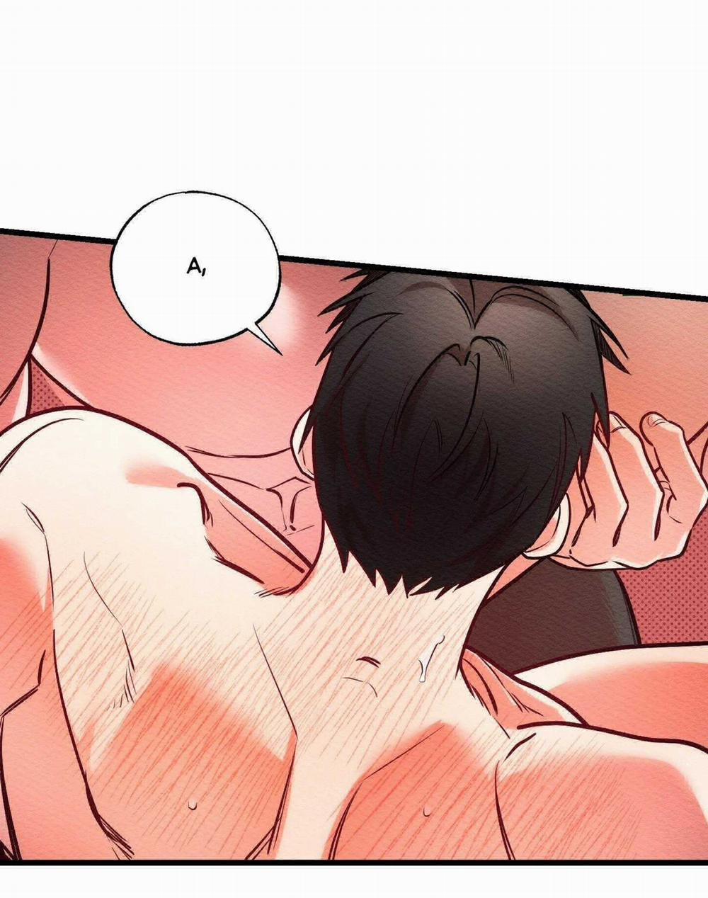 Thể Loại Lãng Mạn 27 trang 8