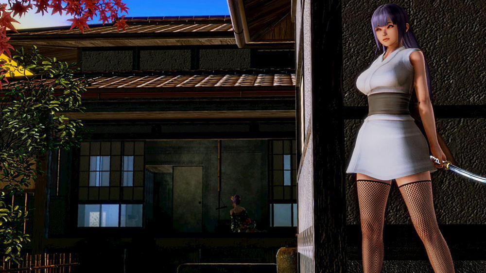 The Mistress and the Kunoichi Oneshot trang 1