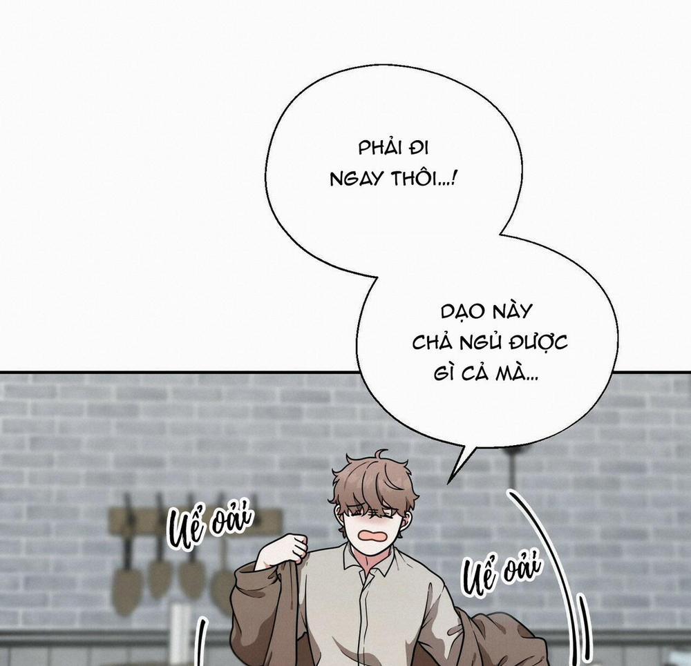 THE SCATTER 1 trang 8