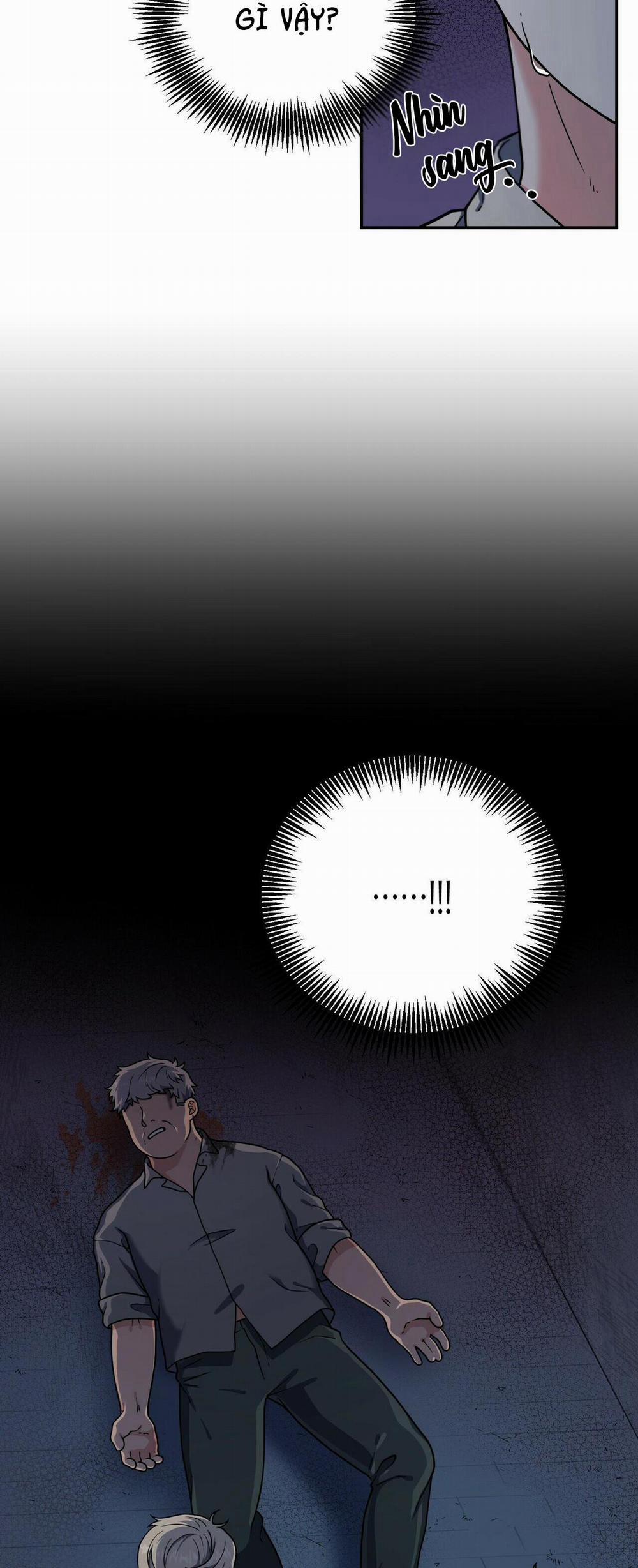 THE SCATTER 2 trang 3