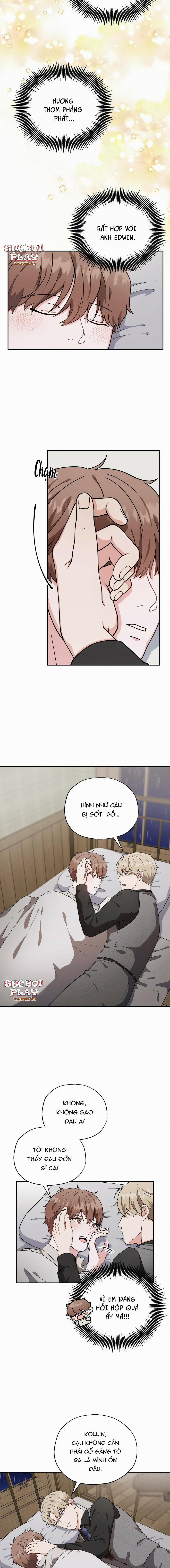 THE SCATTER 3 trang 15