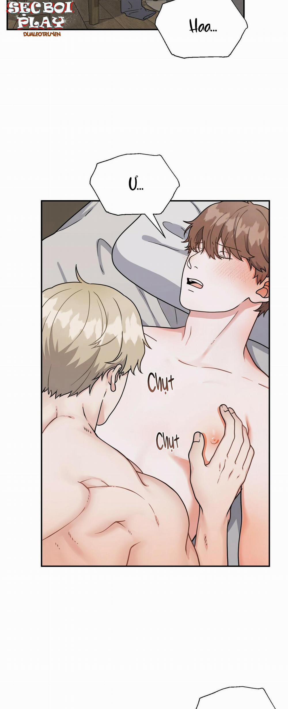 THE SCATTER 4 trang 1