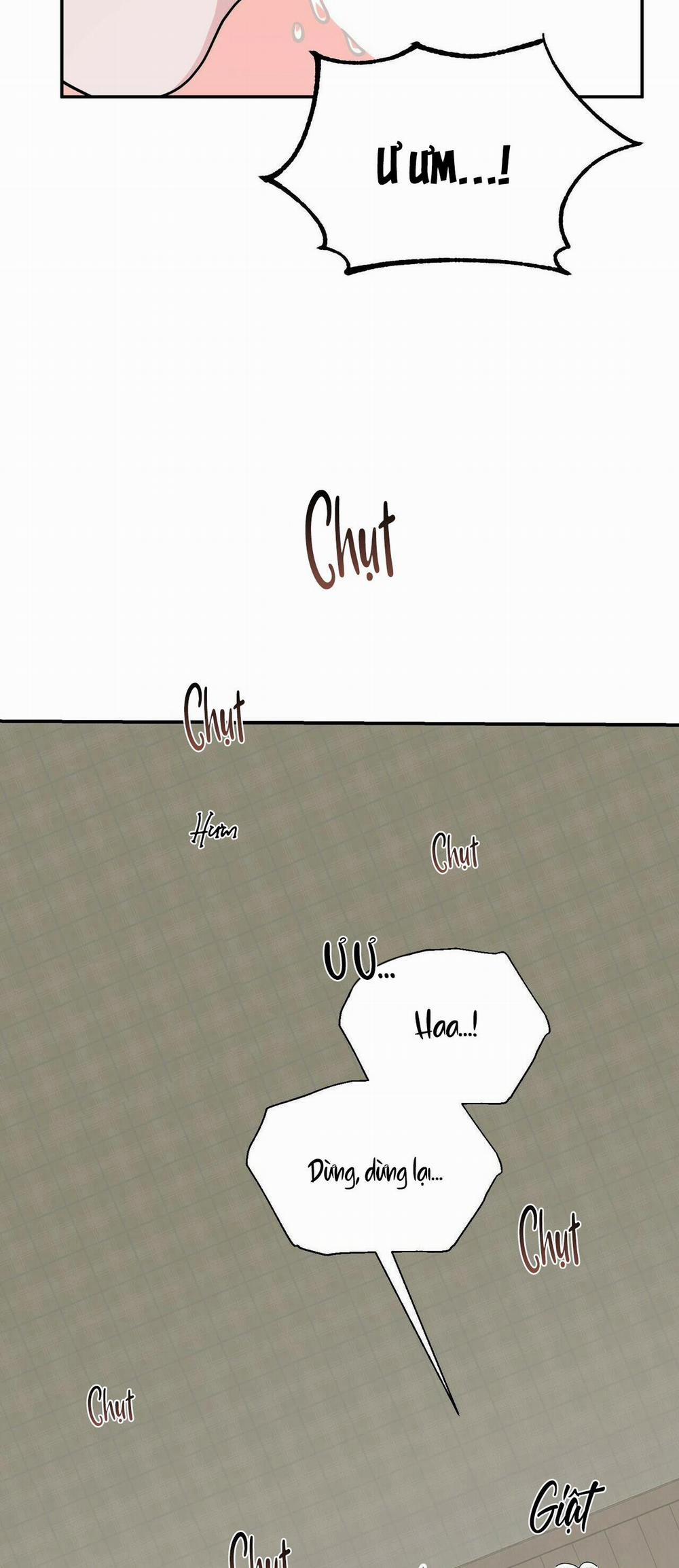 THE SCATTER 4 trang 10