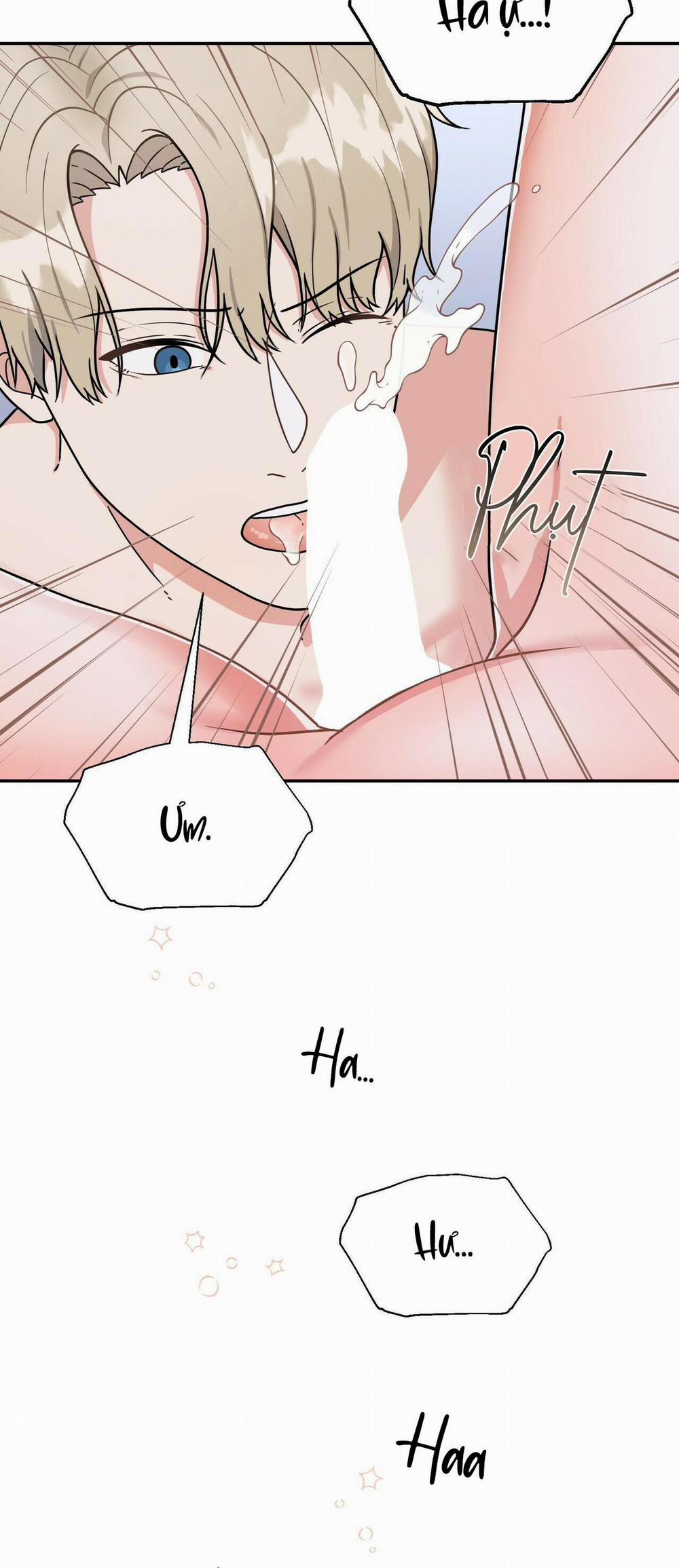 THE SCATTER 4 trang 15