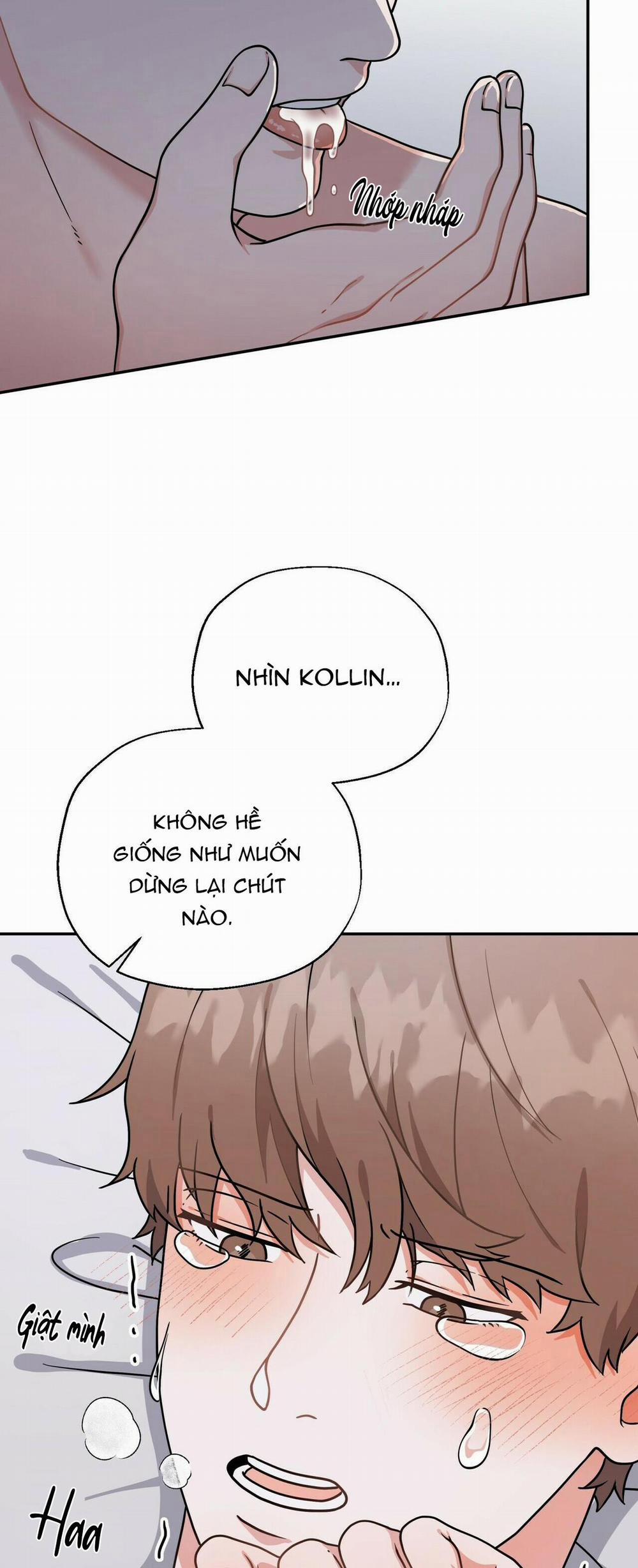 THE SCATTER 4 trang 17