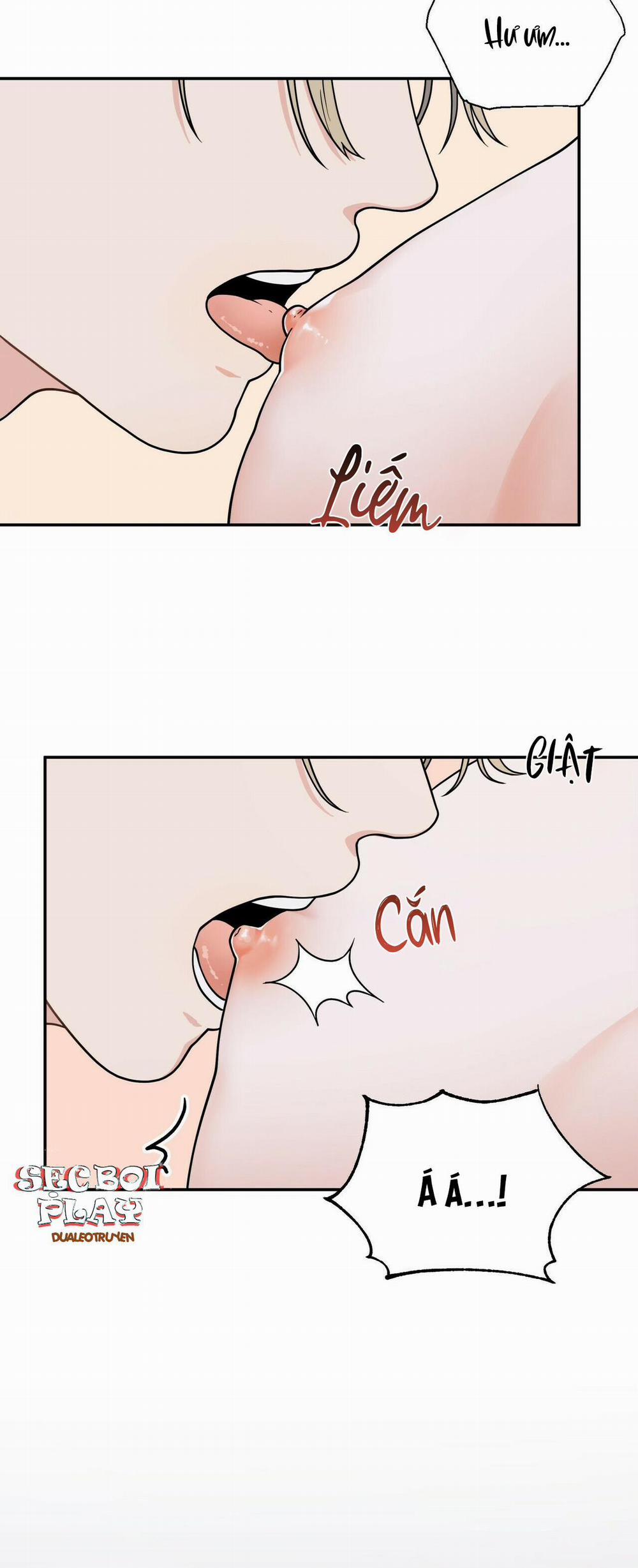 THE SCATTER 4 trang 2