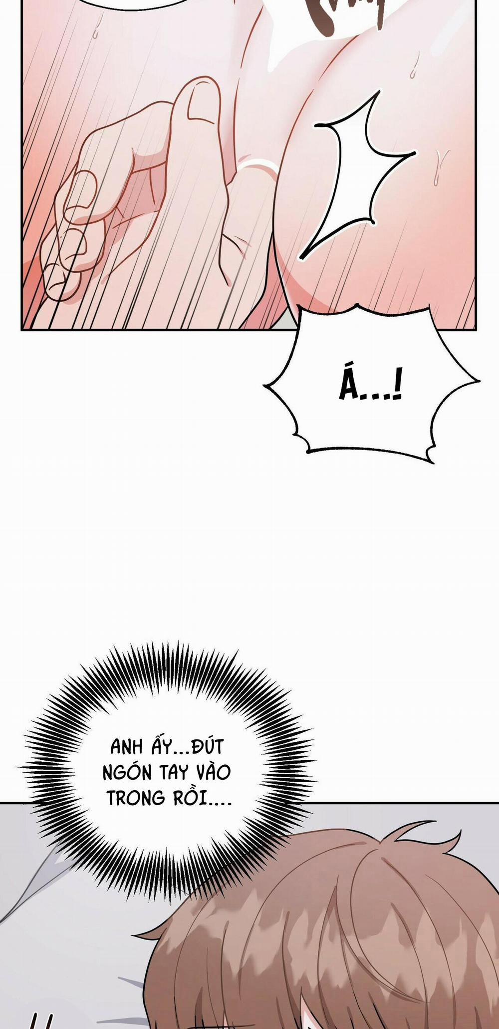 THE SCATTER 4 trang 21