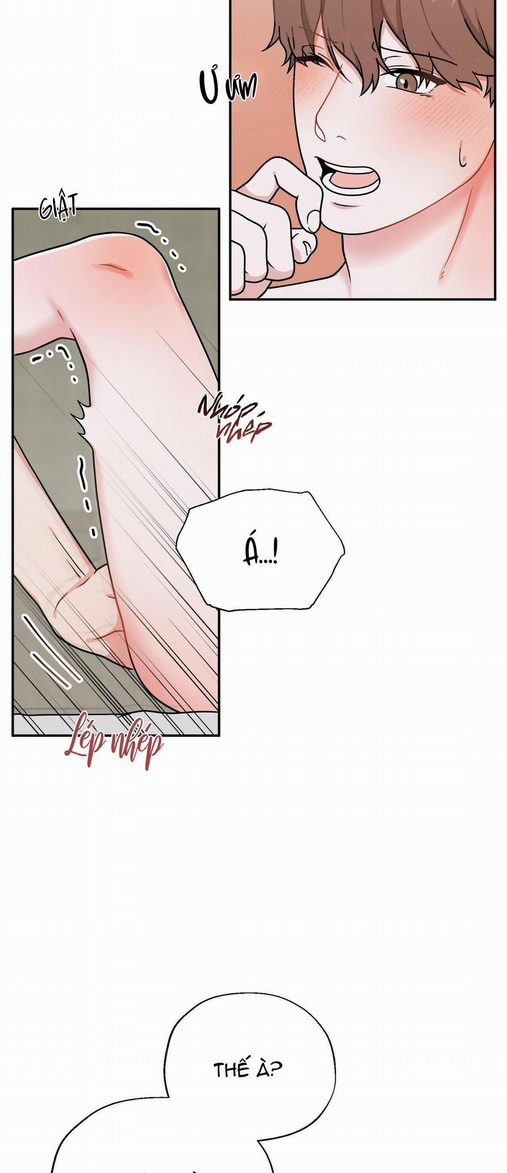 THE SCATTER 4 trang 25