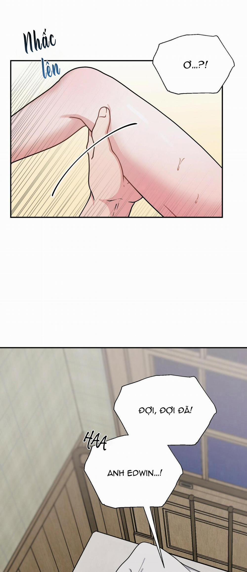 THE SCATTER 4 trang 7