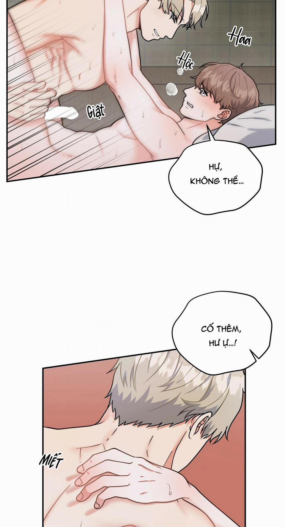 THE SCATTER 5 trang 14