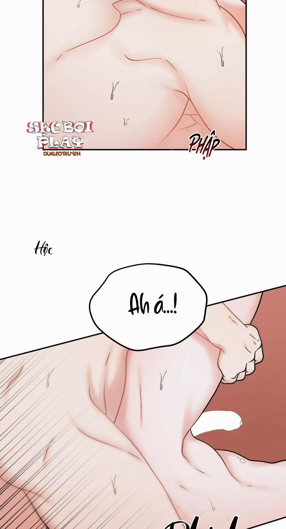 THE SCATTER 5 trang 15