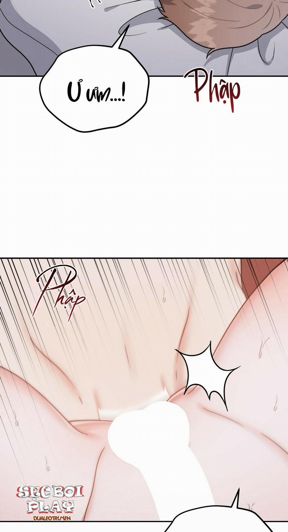 THE SCATTER 5 trang 17