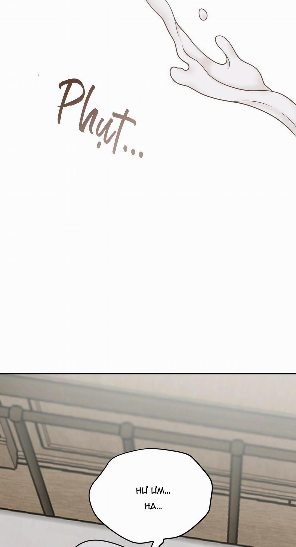 THE SCATTER 5 trang 19