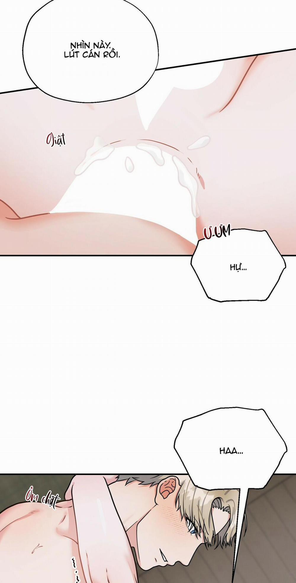 THE SCATTER 5 trang 2