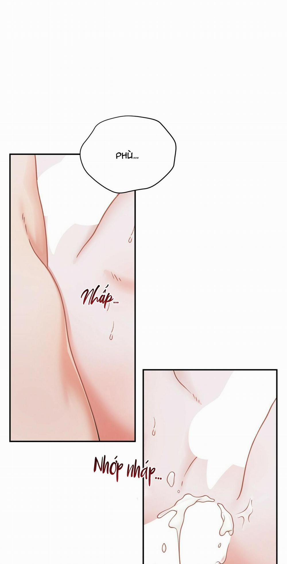 THE SCATTER 5 trang 23