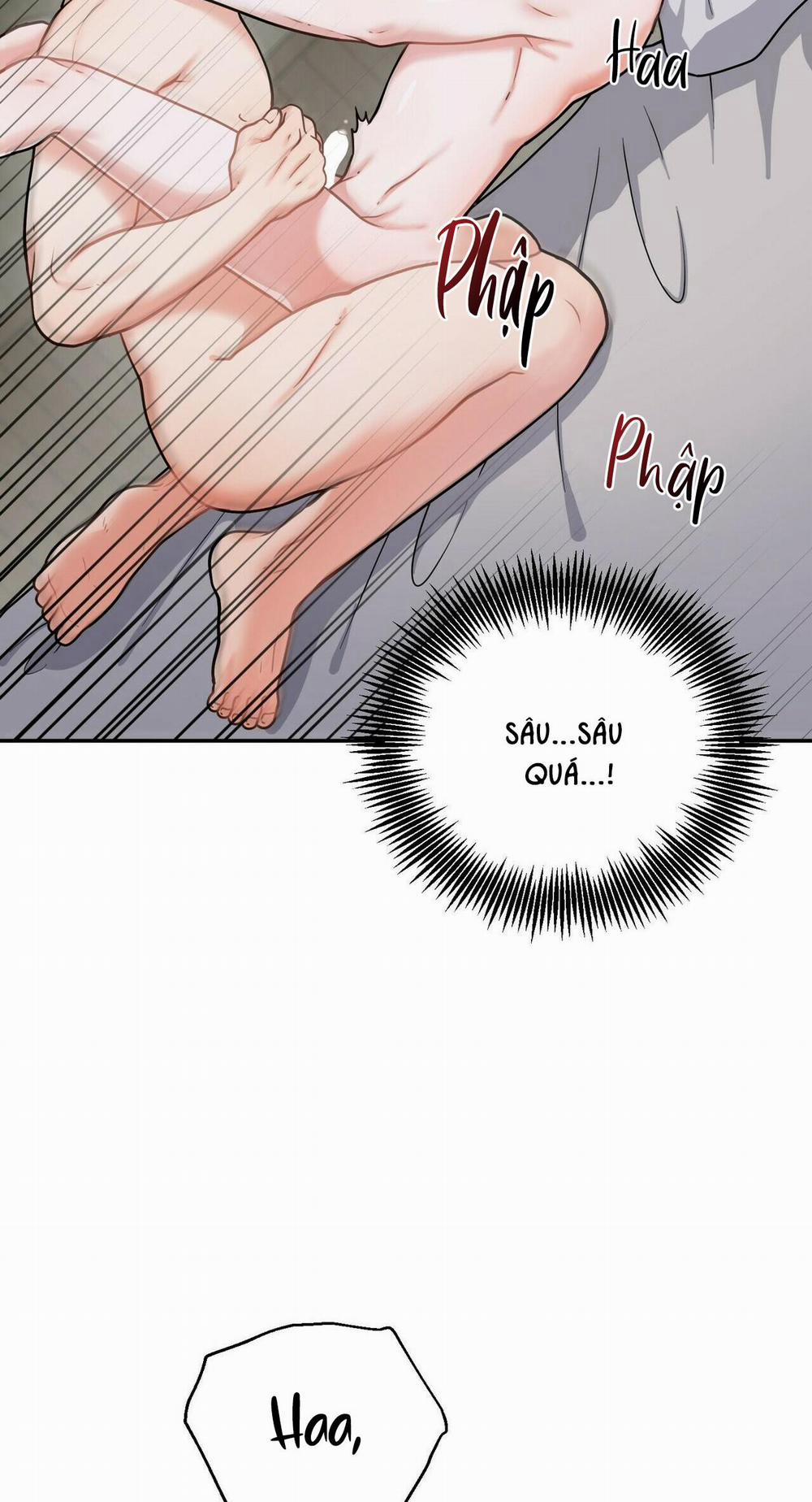 THE SCATTER 5 trang 6