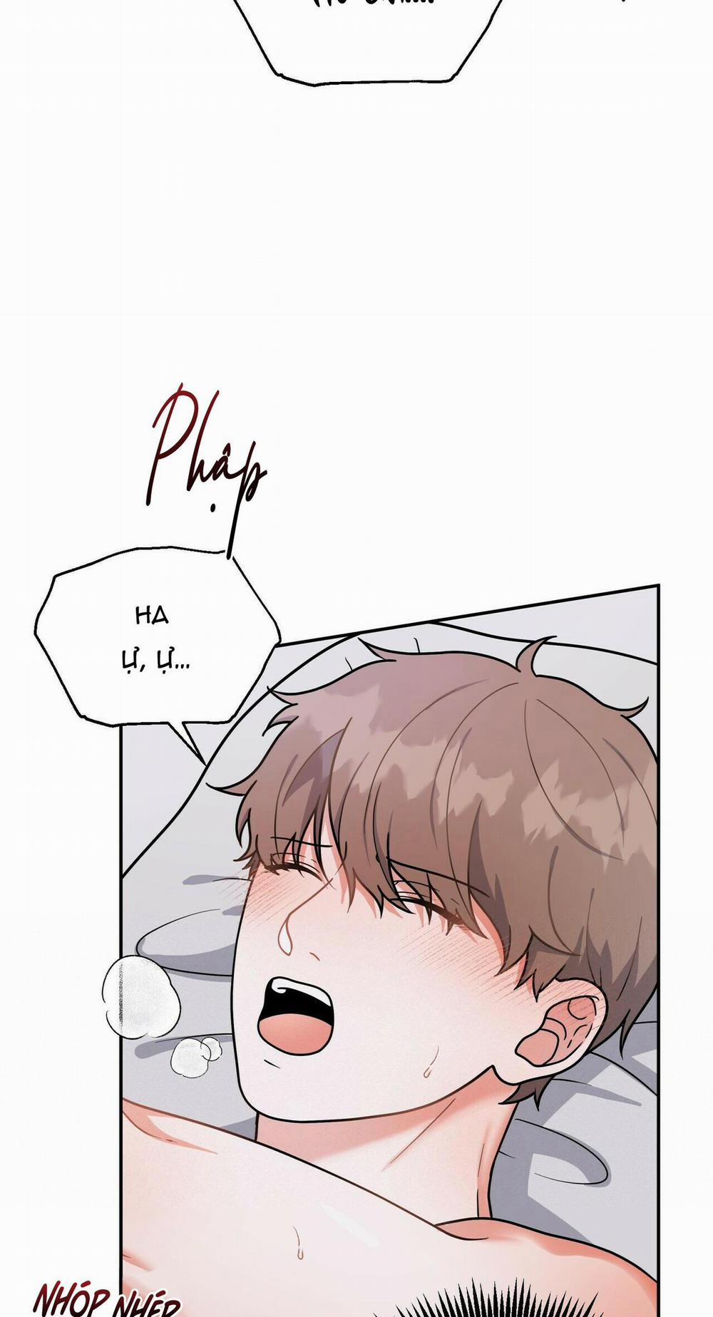 THE SCATTER 5 trang 8