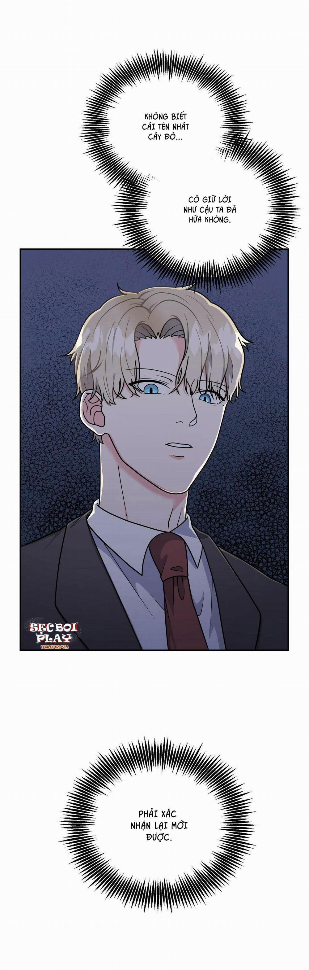 THE SCATTER 6 trang 1