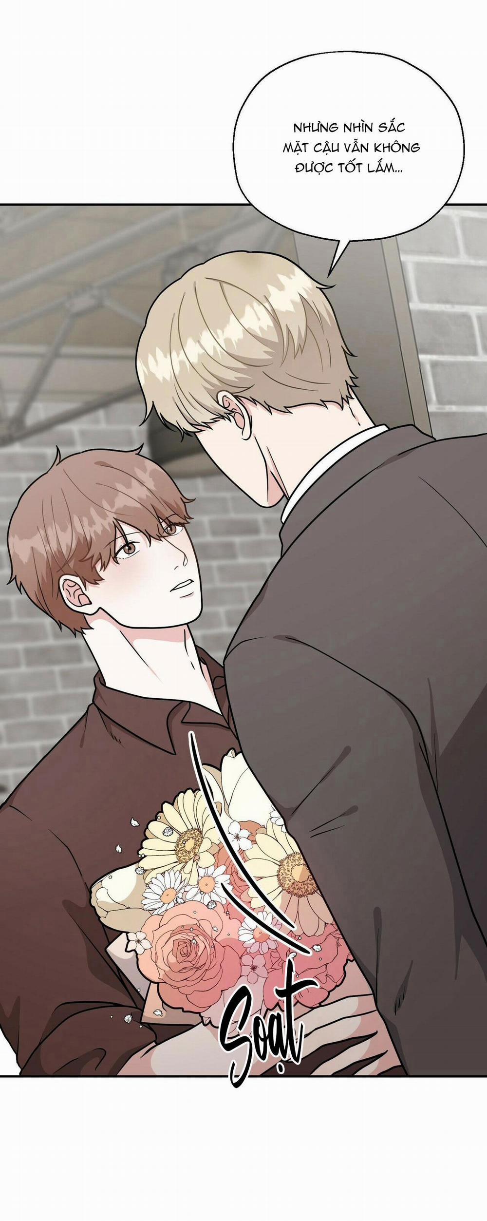 THE SCATTER 6 trang 13