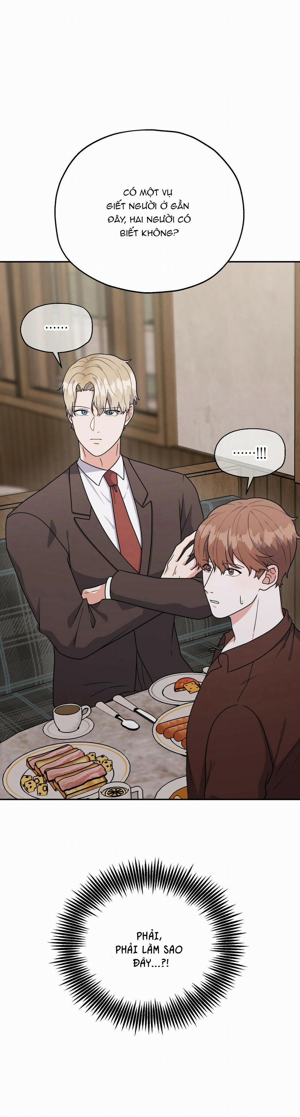 THE SCATTER 7 trang 0