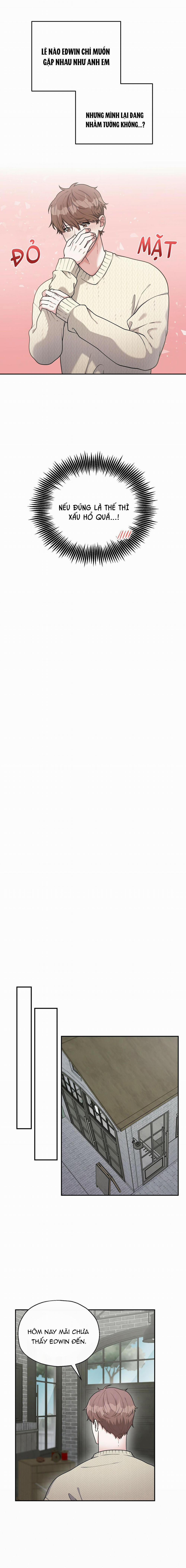 THE SCATTER 8 trang 1