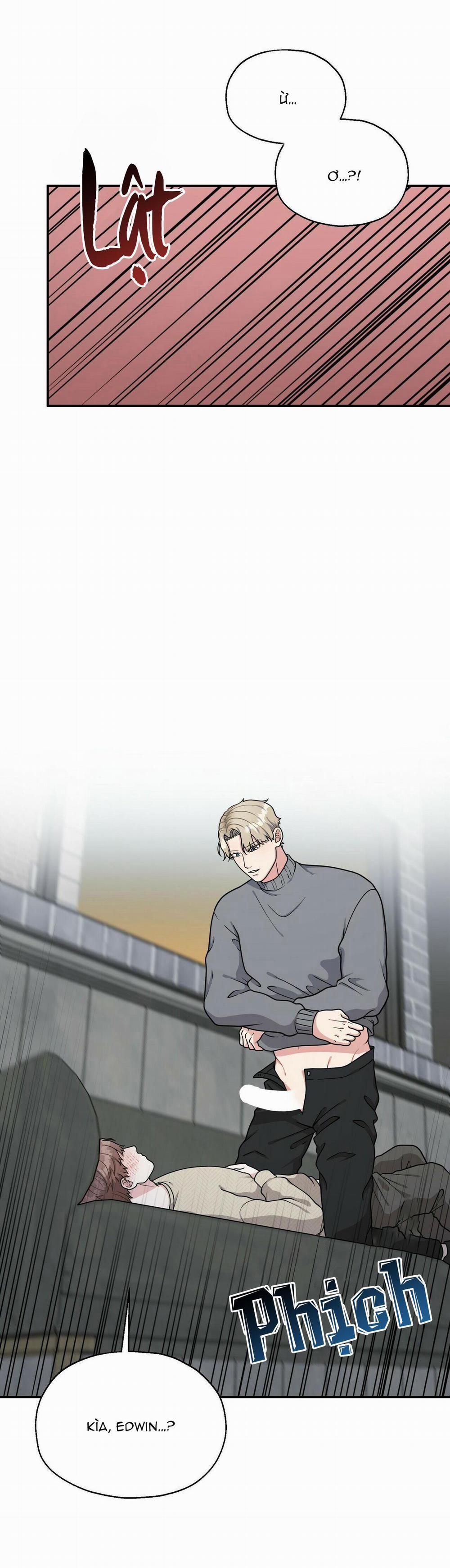 THE SCATTER 9 trang 17