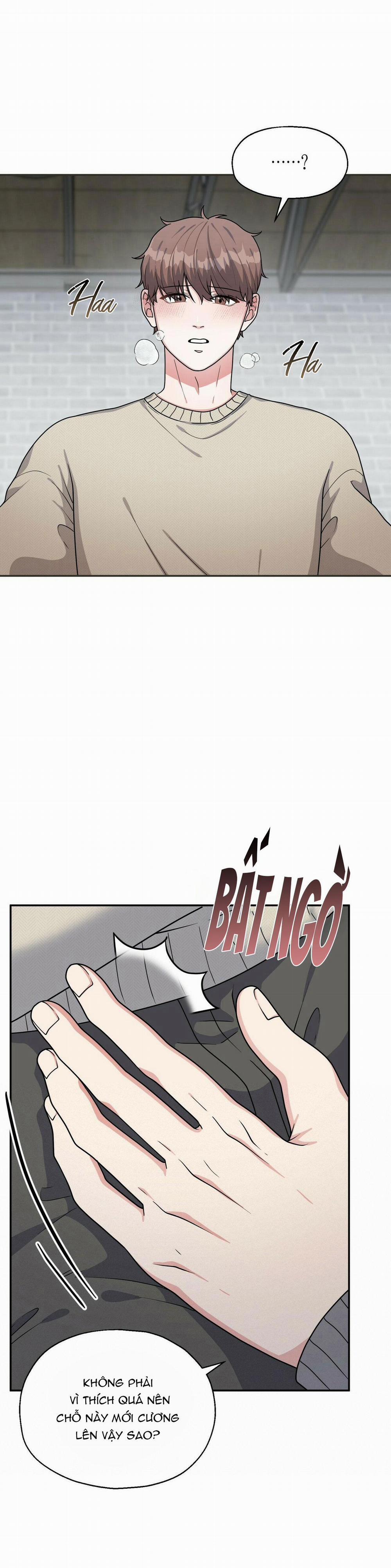 THE SCATTER 9 trang 3