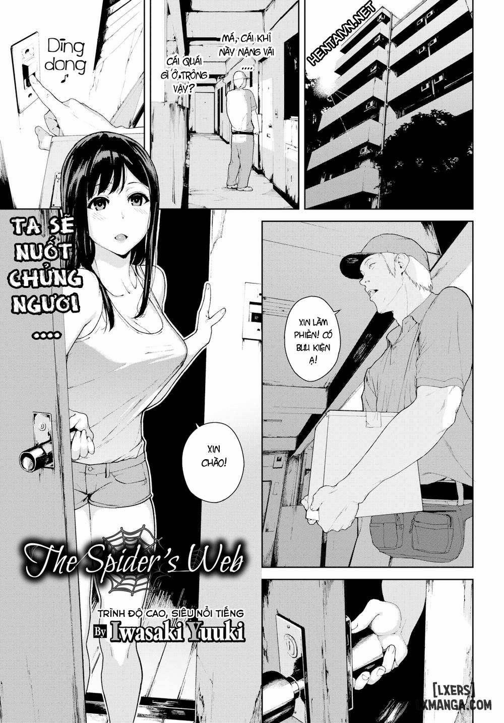 The Spider's Webb 1 trang 0