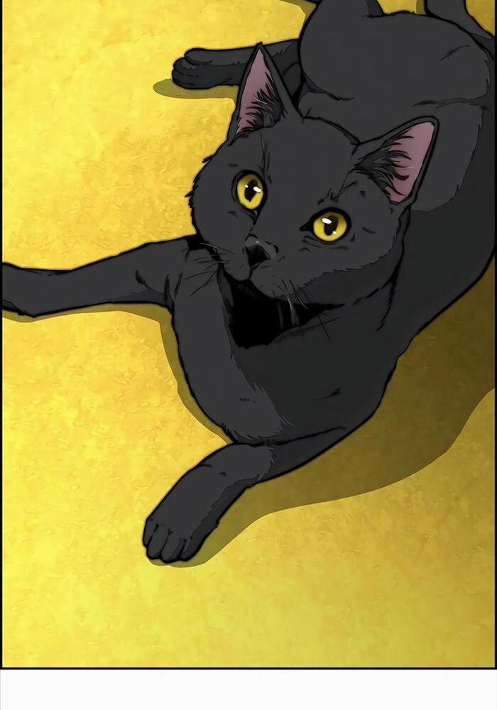 Thể Thao Cực Hạn 523 trang 14