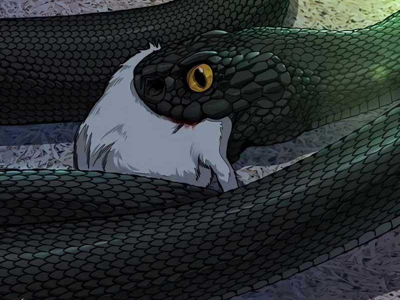 Thể Thao Cực Hạn 524 trang 333