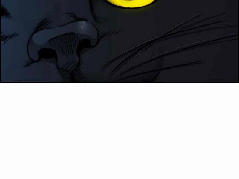 Thể Thao Cực Hạn 525 trang 124