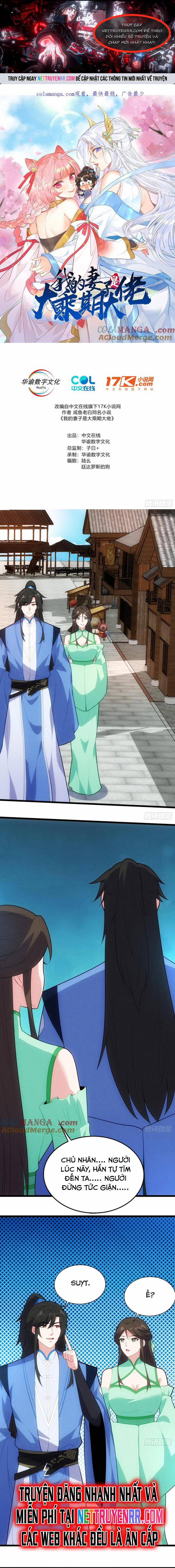 Thê Tử Của Ta Là Đại Lão Đại Thừa Kỳ 120 trang 0