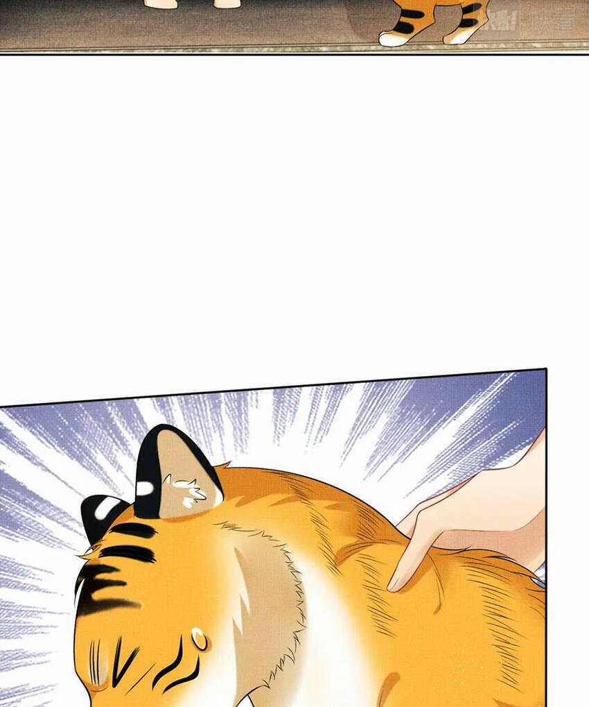 Thê Vi Thượng 136.4 trang 13