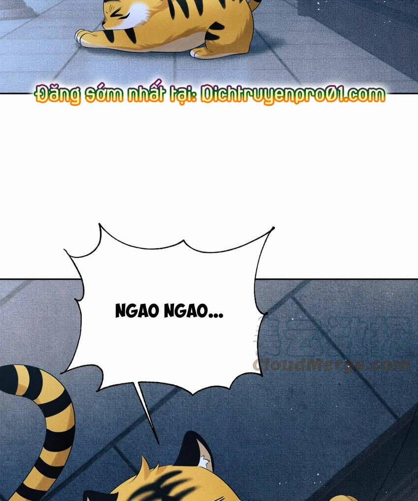 Thê Vi Thượng 136.4 trang 61