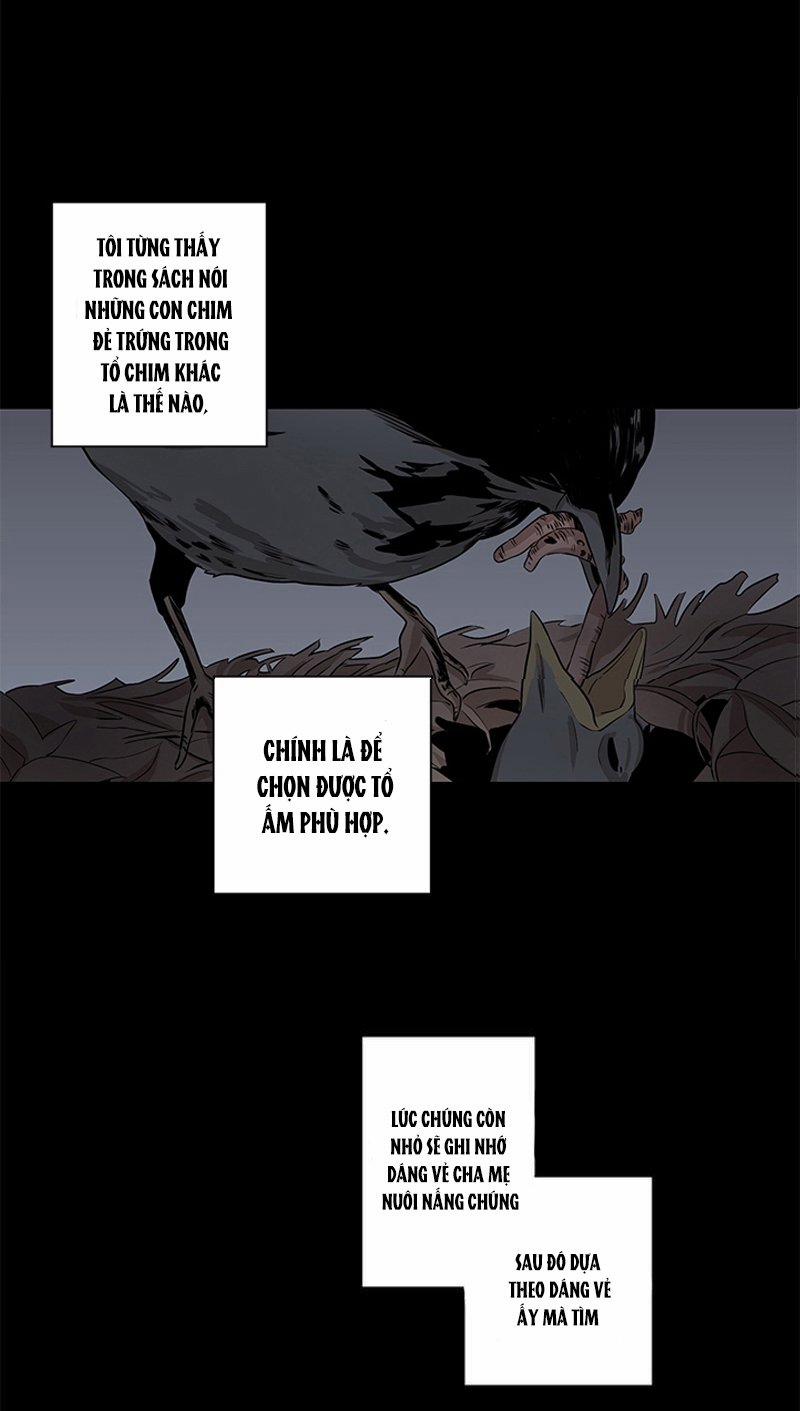 The Wing 5 trang 29