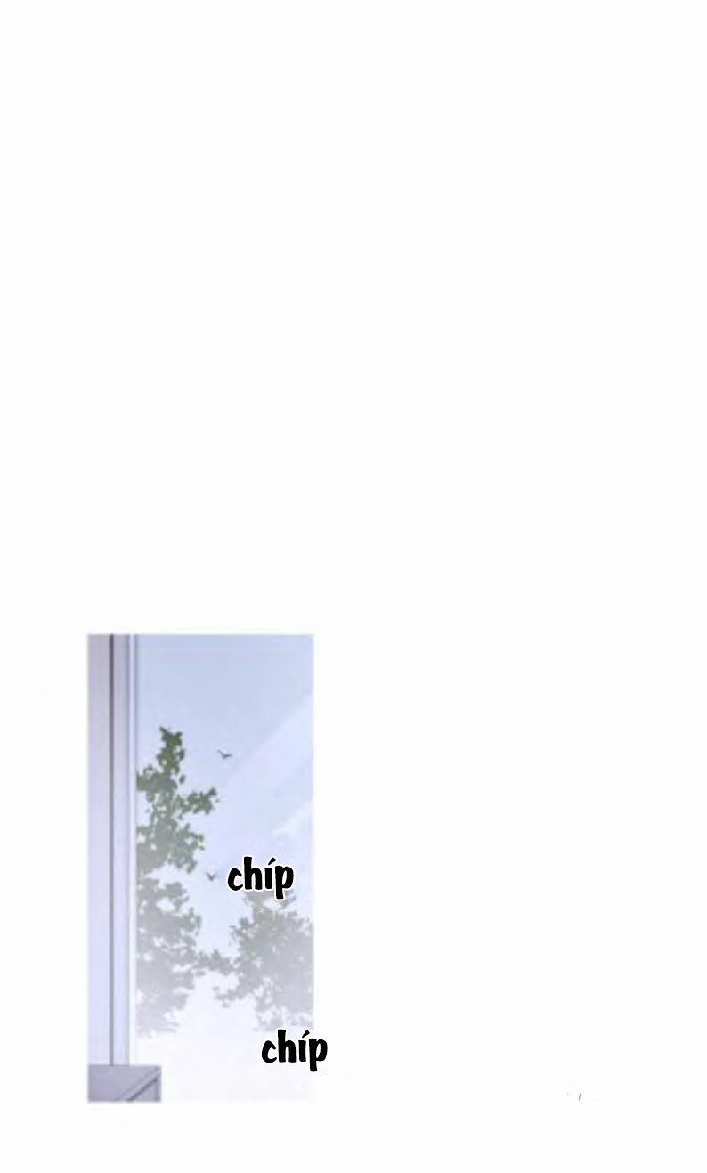 The Wing 6 (Kết thúc) trang 11