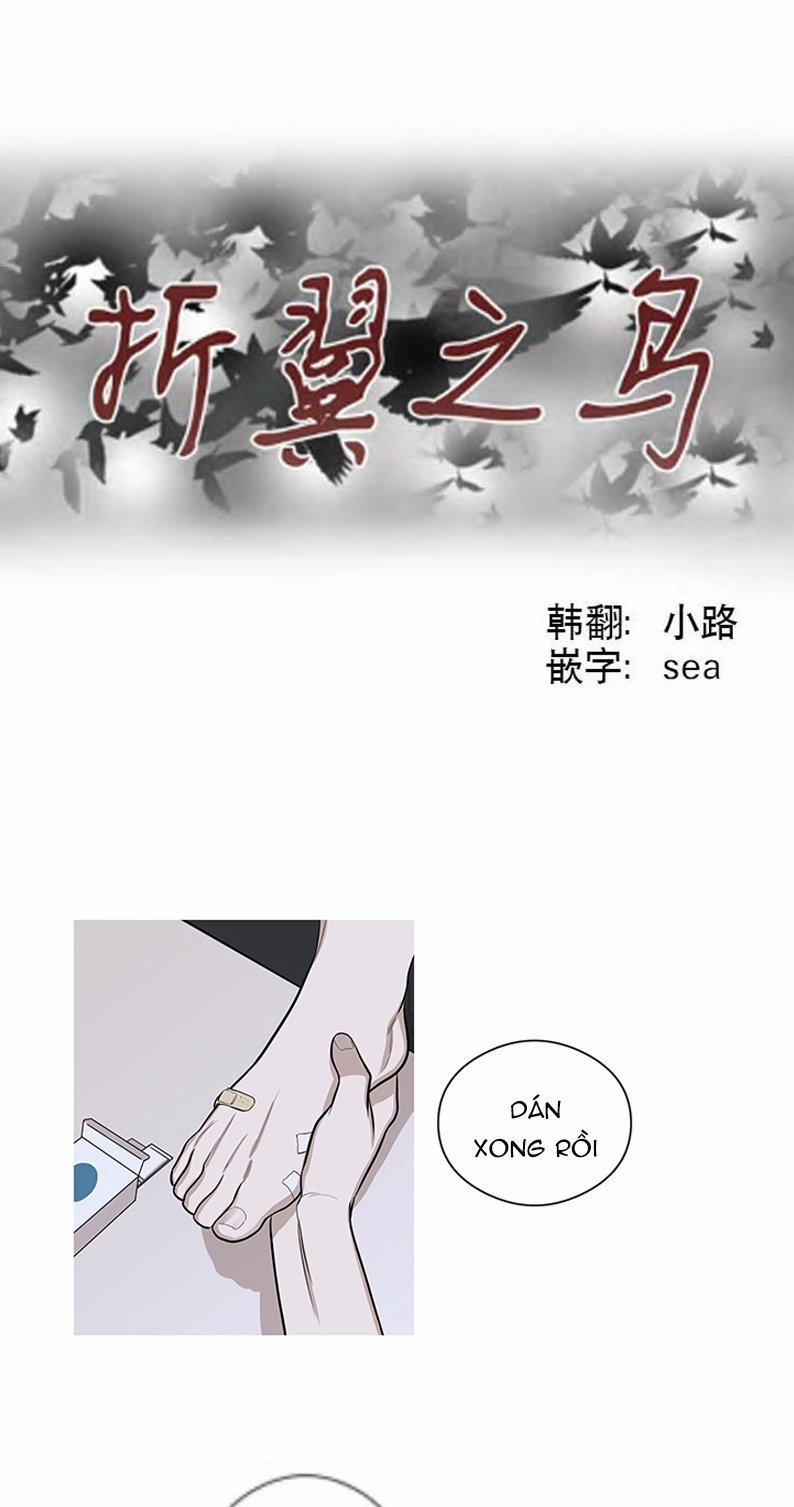 The Wing 6 (Kết thúc) trang 36