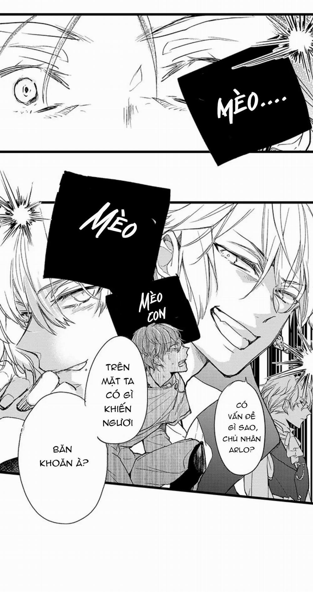 Theodore chỉ xuất hiện vào đêm khuya 3 trang 31