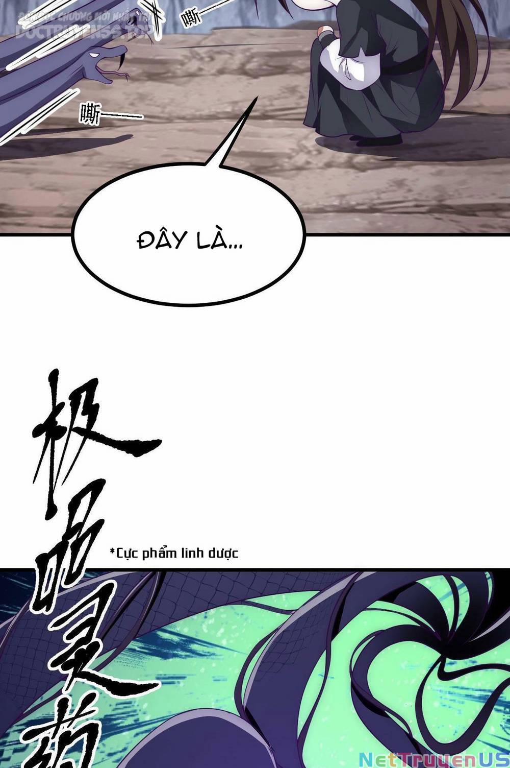 Thiên Đạo Nguyền Rủa Ư? Ta Nghịch Thiên!! 24 trang 2