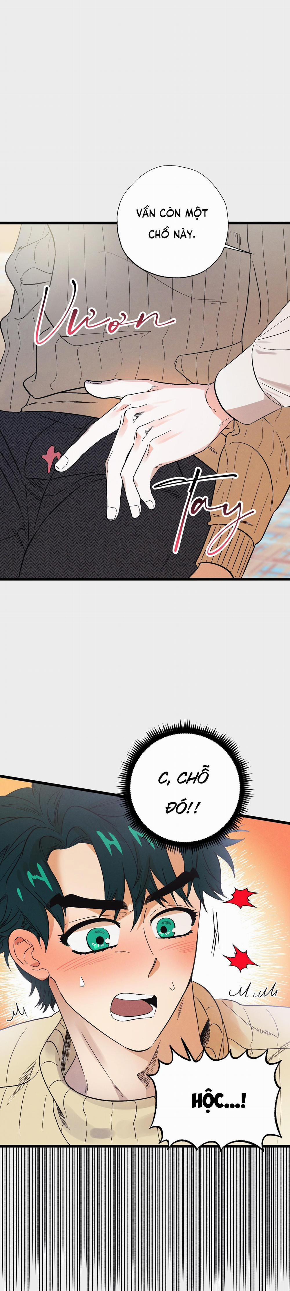Thiên Đường Nơi Đảo Hoang 11 trang 16