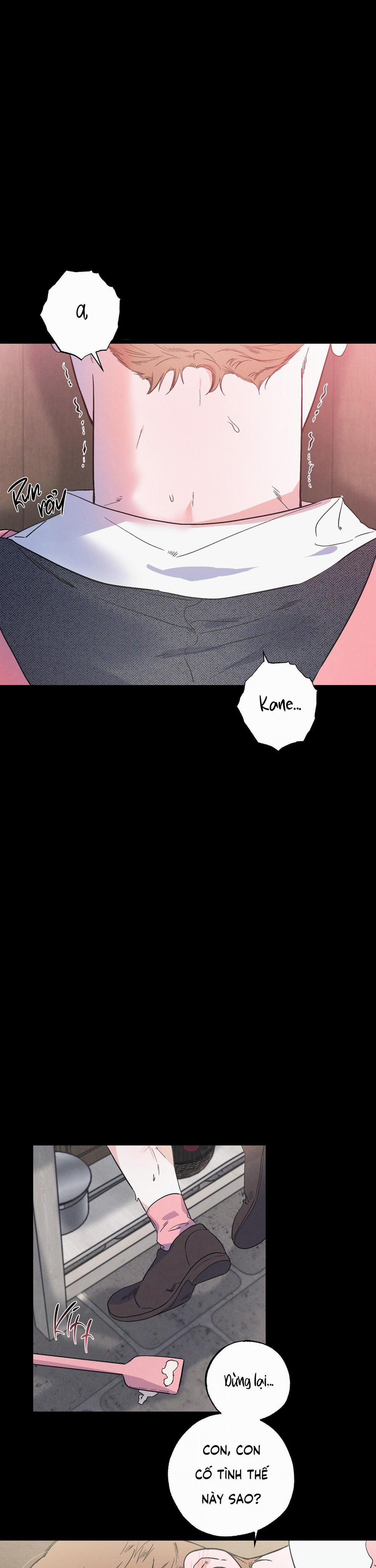 Thiên Đường Nơi Đảo Hoang 16 trang 6