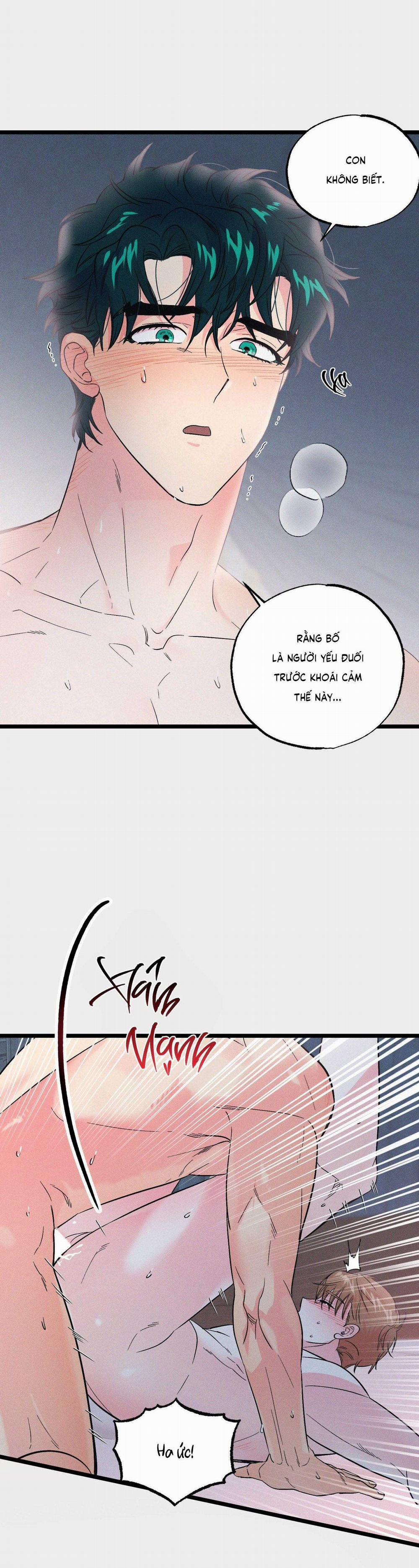 Thiên Đường Nơi Đảo Hoang 24 trang 11
