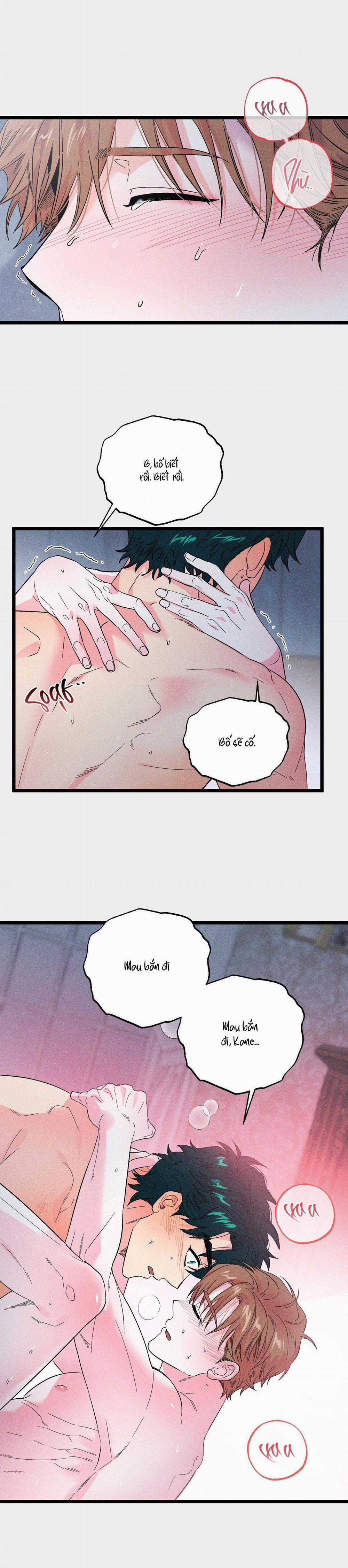 Thiên Đường Nơi Đảo Hoang 24 trang 16