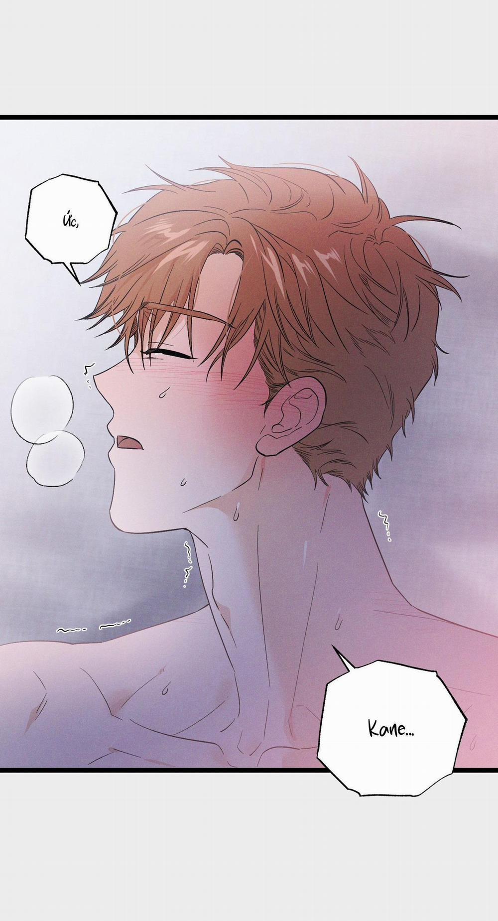 Thiên Đường Nơi Đảo Hoang 25 trang 2