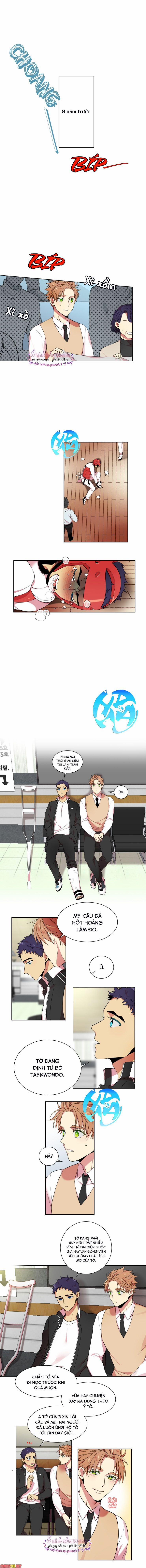 Thiếu Niên Đào Hoa 8 trang 0