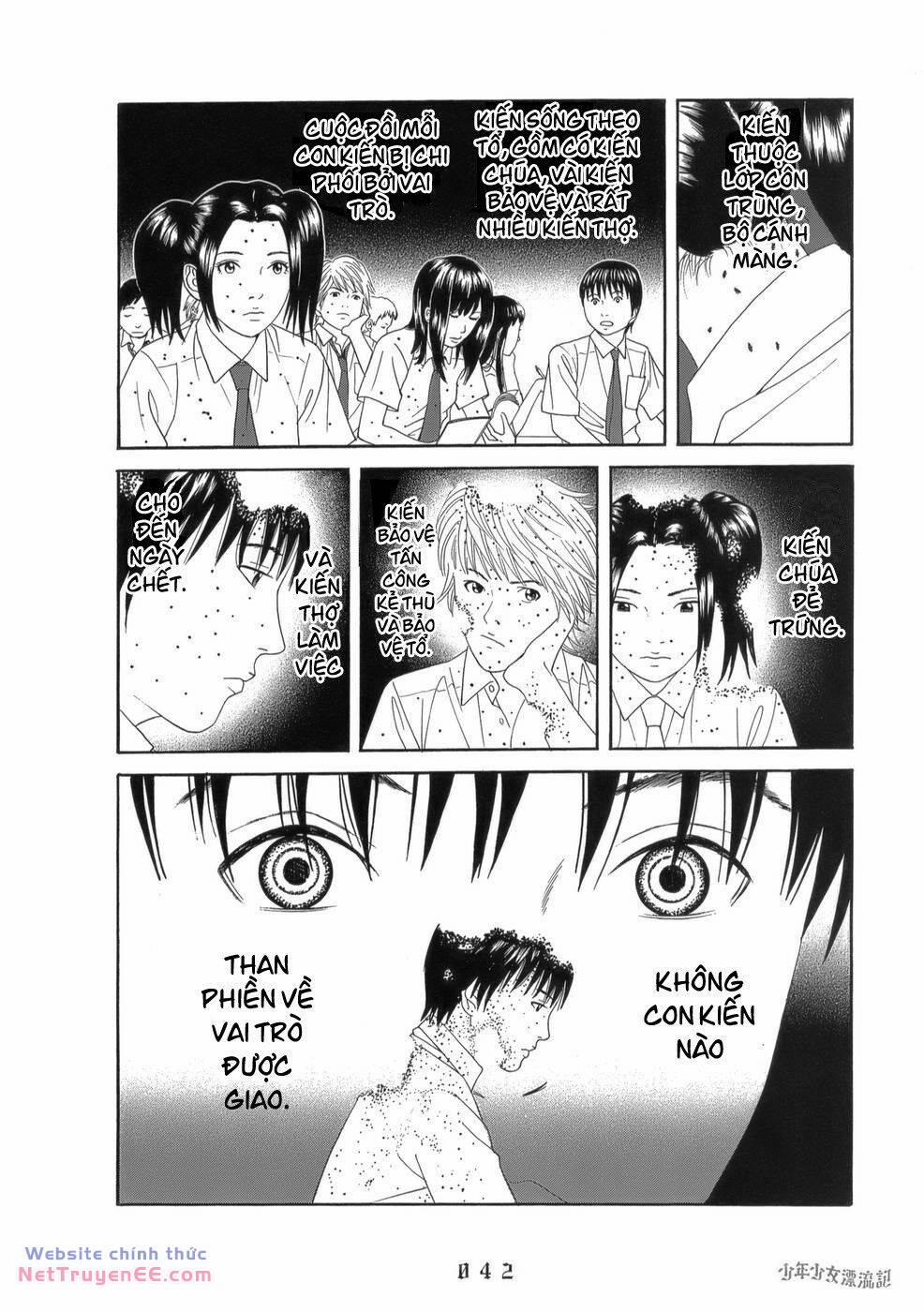 Thiếu Niên Thiếu Nữ Phiêu Lưu Ký 2 trang 17