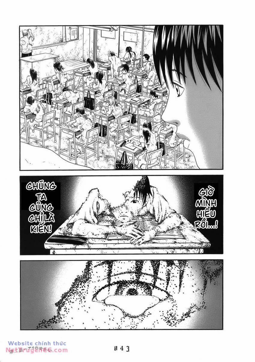 Thiếu Niên Thiếu Nữ Phiêu Lưu Ký 2 trang 18