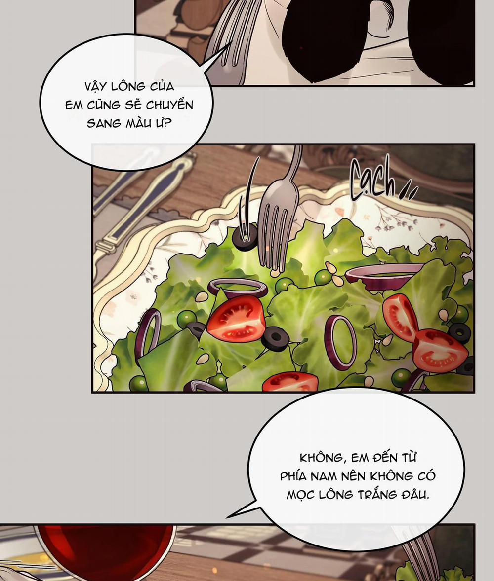 Thỏ Bắc Cực 5 trang 31